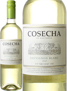 コセチャ　ソーヴィニヨン・ブラン　2023　白　※ヴィンテージが異なる場合があります。 Cosecha Sauvignon Blanc   スピード出荷