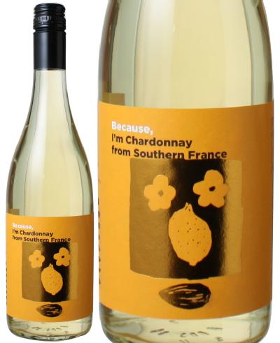 Because@rR[Y@AC@Vhl@t@TUEtX@2018@@Because Ifm Chardonnay from Southern France  Xs[ho