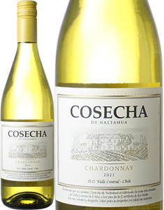 ワイン チリ コセチャ シャルドネ 2023  白 ※ヴィンテージが異なる場合があります。 Cosecha Chardonnay　スピード出荷