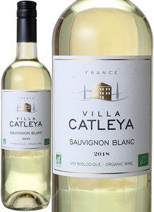 ヴィッラ・カトレヤ　ソーヴィニヨン・ブラン　2021　ピエール・シャヴァン　白　 Villa Catleya Sauvignon Blanc / Pierre Chavin  スピード出荷