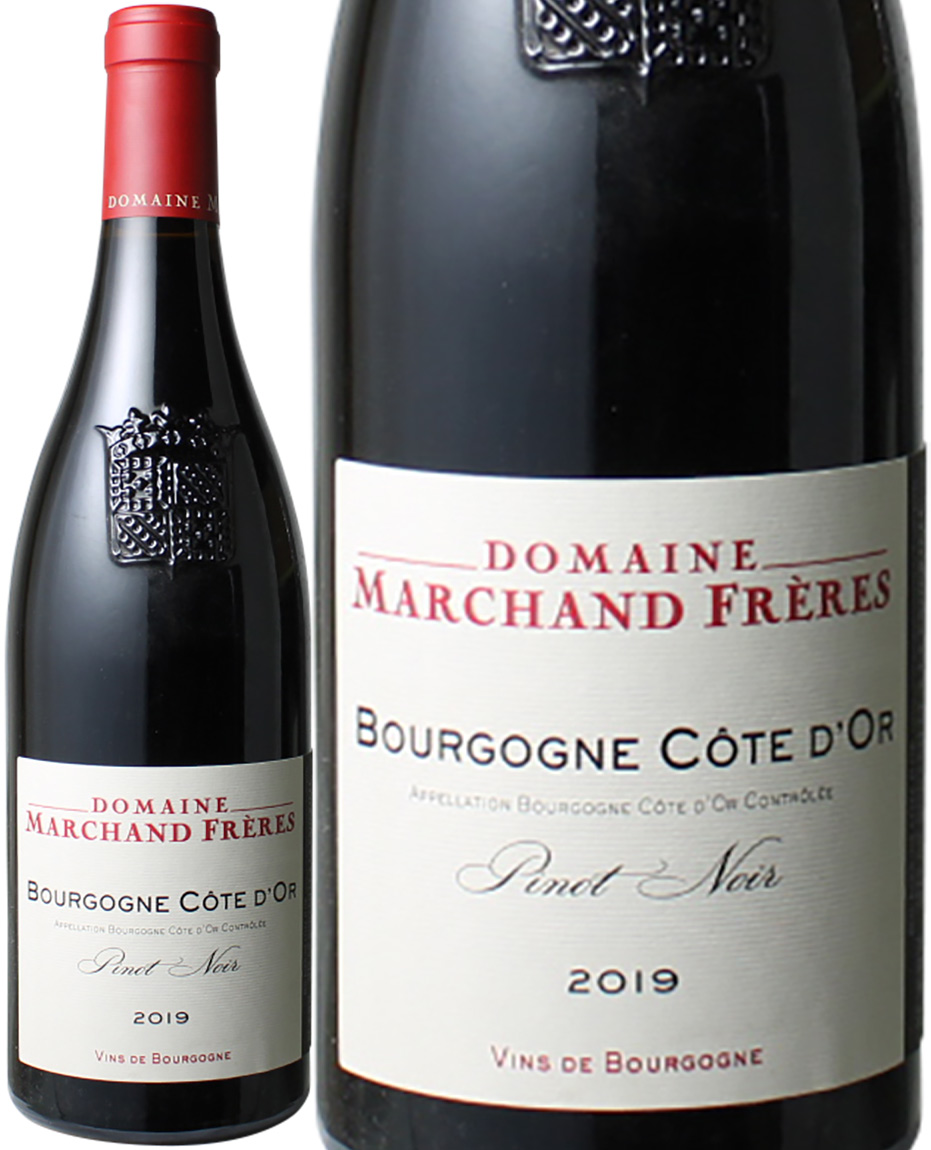 uS[j@R[gEh[@smEm[@2019@}VEt[@ԁ@<br>Bourgogne Cote-d'Or Pinot Noir / Domaine Marchand Freres  Xs[ho