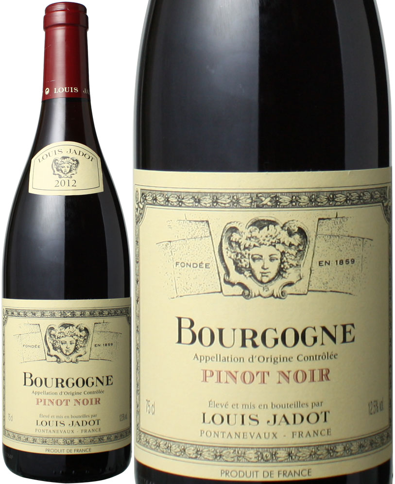 uS[j@smEm[@2021@C Wh@ԁ@<br>Bourgogne Pinot Noir /  Louis Jadot@Xs[ho