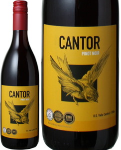 カントル　ピノ・ノワール　2020　ルイス・フェリペ・エドワーズ　赤 Cantor  Pinot Noir / Luis　Felipe　Edwards   スピード出荷