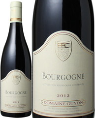 ブルゴーニュ・ルージュ　2013　ドメーヌ・ギヨン　赤 Bourgogne Rouge / Domaine Guyon   スピード出荷